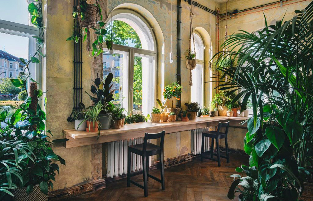Stettin, im Skandinavischen Haus. Foto: © Dom Skandynawski/Scandinavian meeting point
